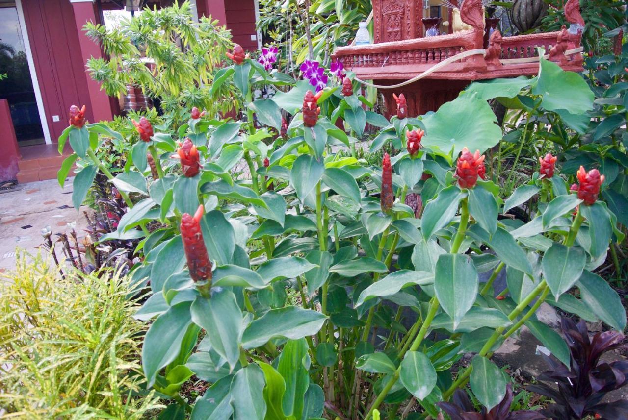 Phoumrumduol Bungalow 캄폿 외부 사진